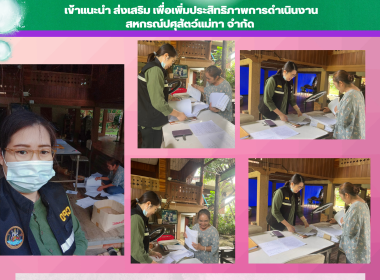 เข้าแนะนำ ส่งเสริม ... พารามิเตอร์รูปภาพ 3